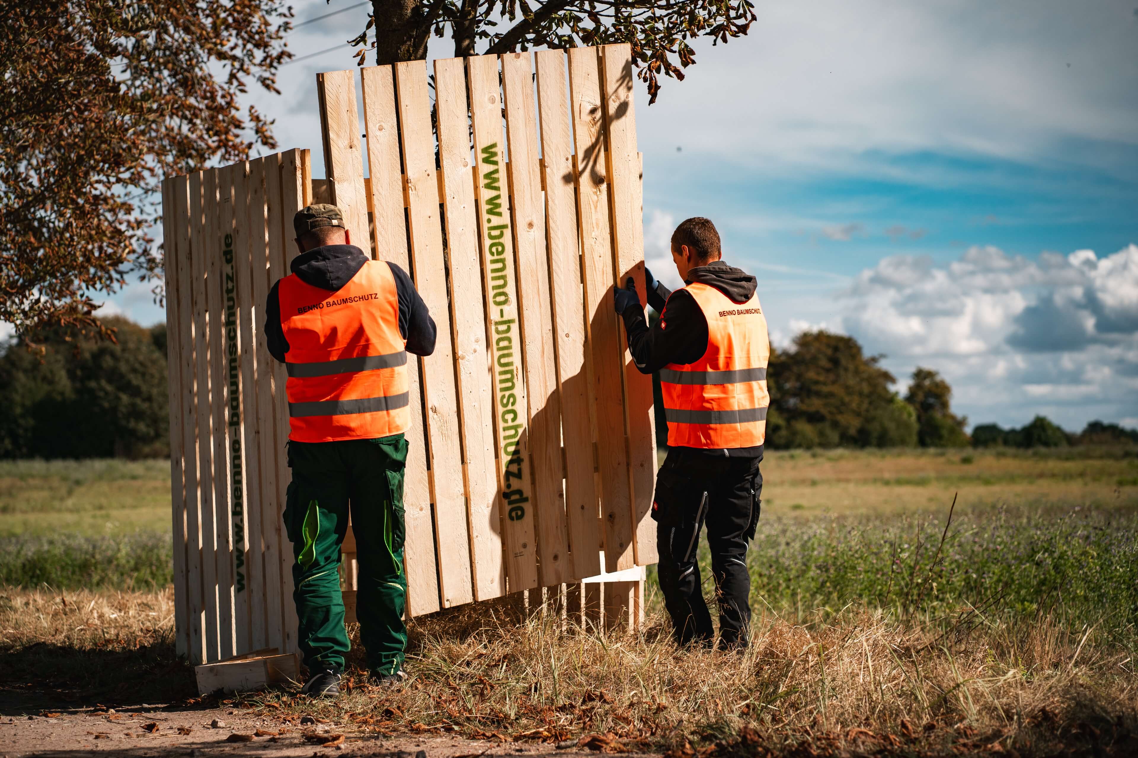 Zwei Männer stellen einen Baumschutkasten auf